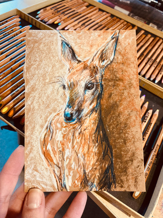 Drawing of deer doe head