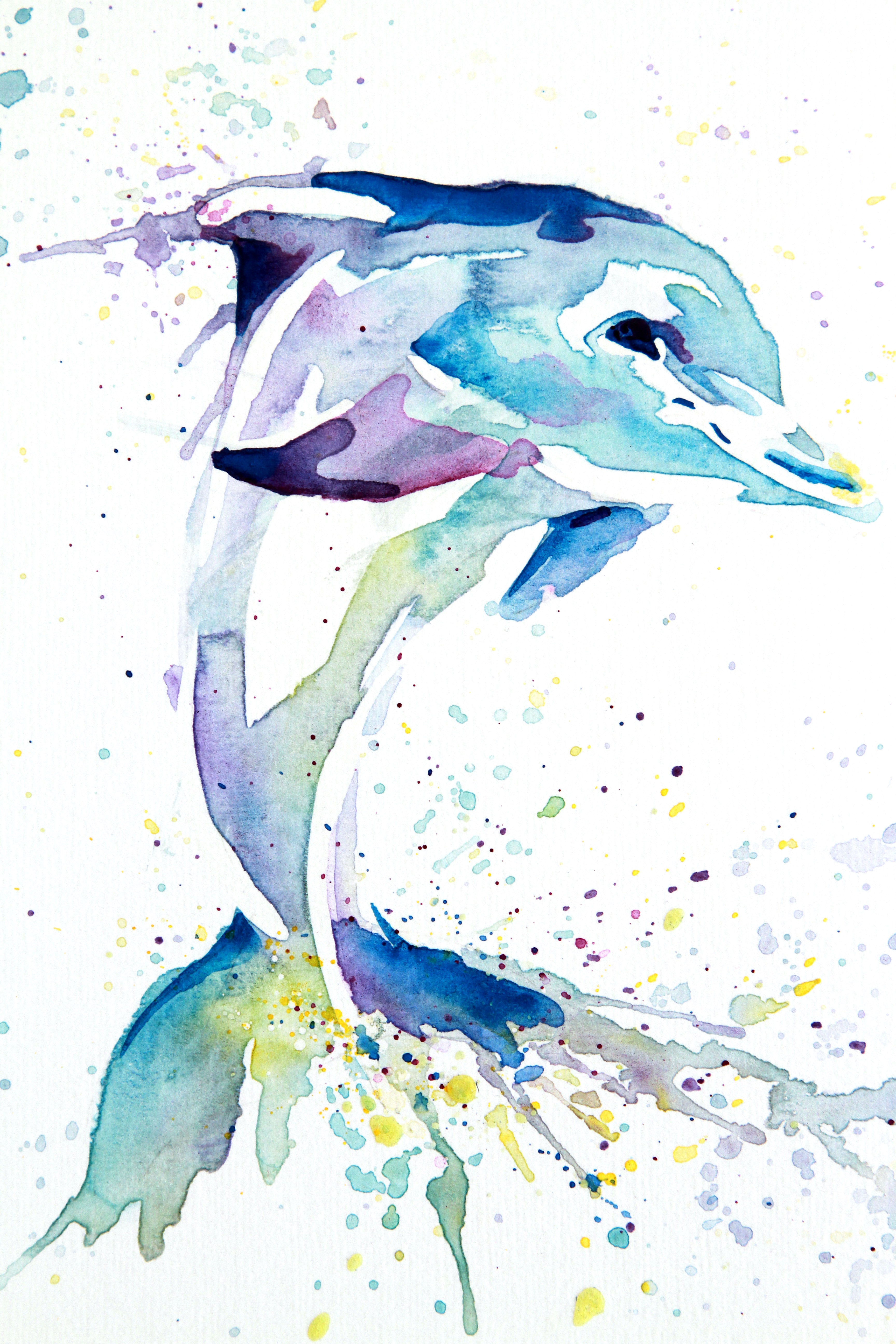 Dolphin painting deals